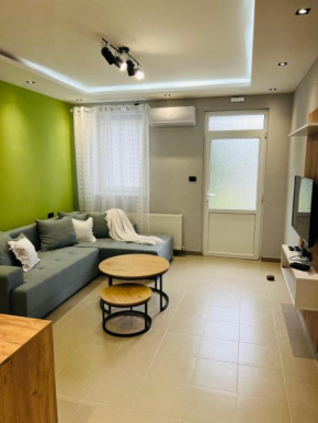 Apartman Novi Sad